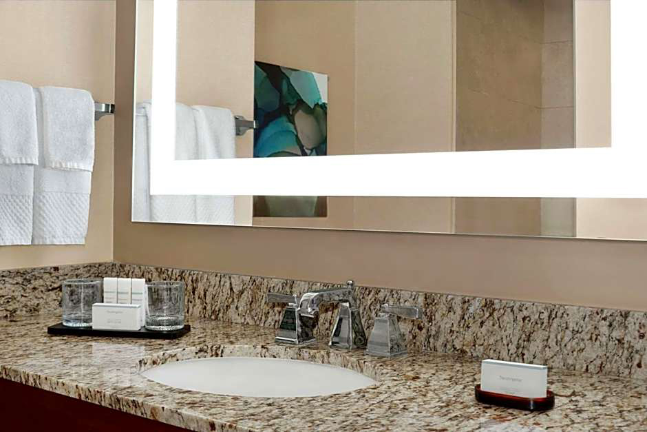 Embassy Suites by Hilton Cincinnati RiverCenter suite